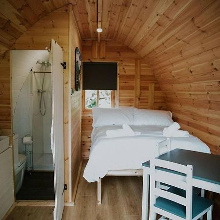 Ash Winter Retreat- Hot Tub & Log Bruner Barmouth Kültér fotó