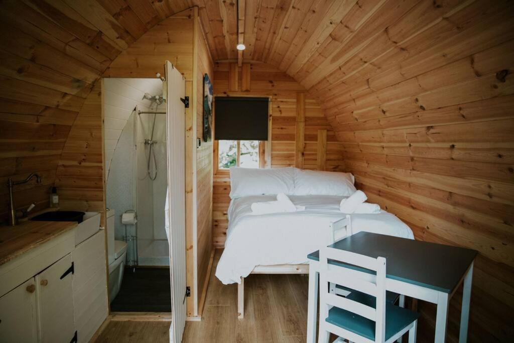 Ash Winter Retreat- Hot Tub & Log Bruner Barmouth Kültér fotó